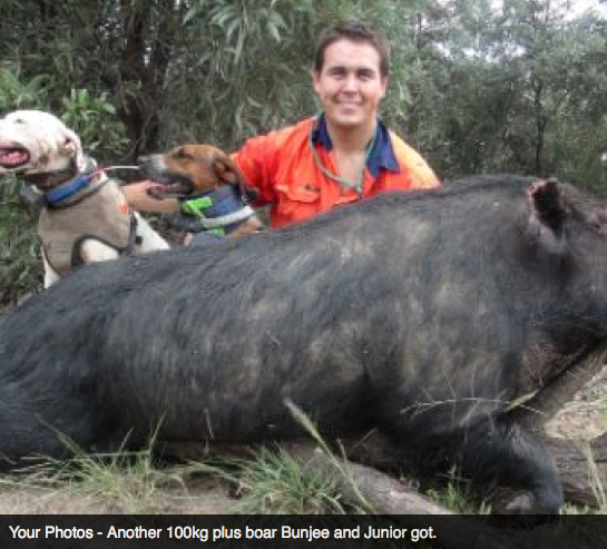 Screen Shot 2013-10-02 at 1.36.42 PM